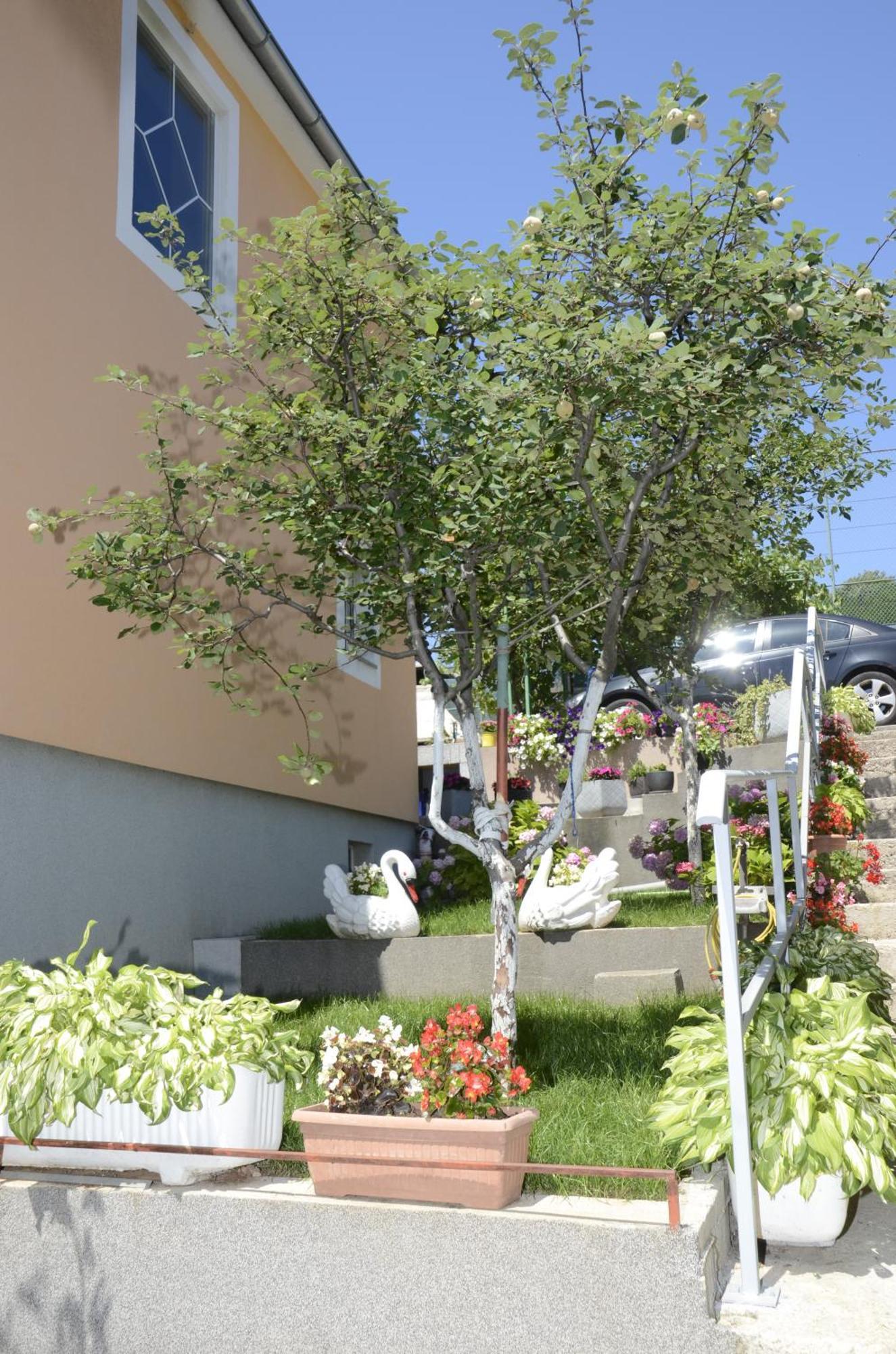 Apartments Lilly - Studio Ριέκα Εξωτερικό φωτογραφία