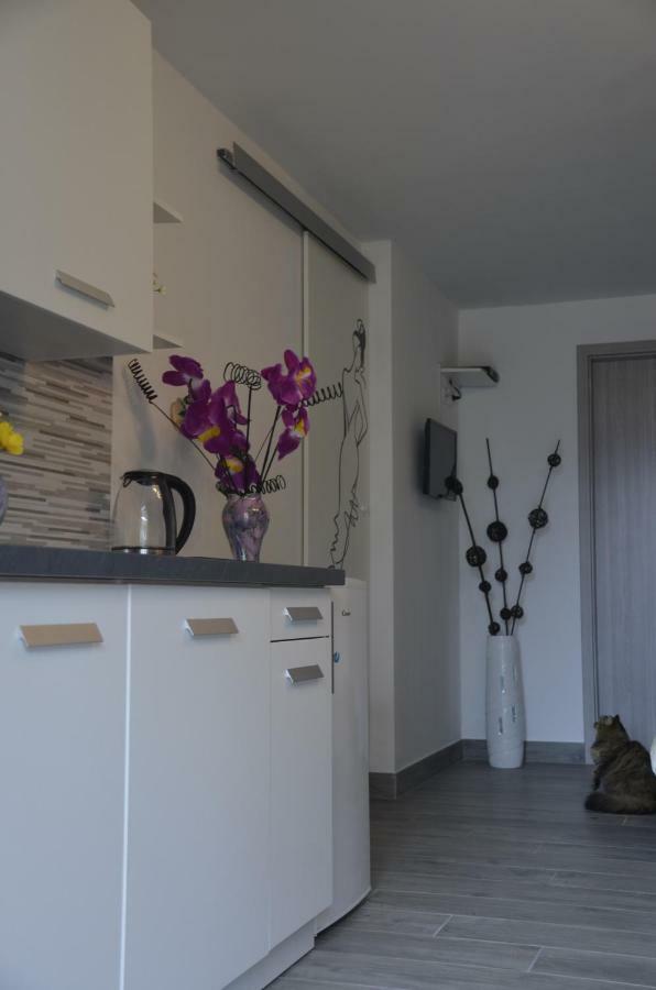 Apartments Lilly - Studio Ριέκα Εξωτερικό φωτογραφία